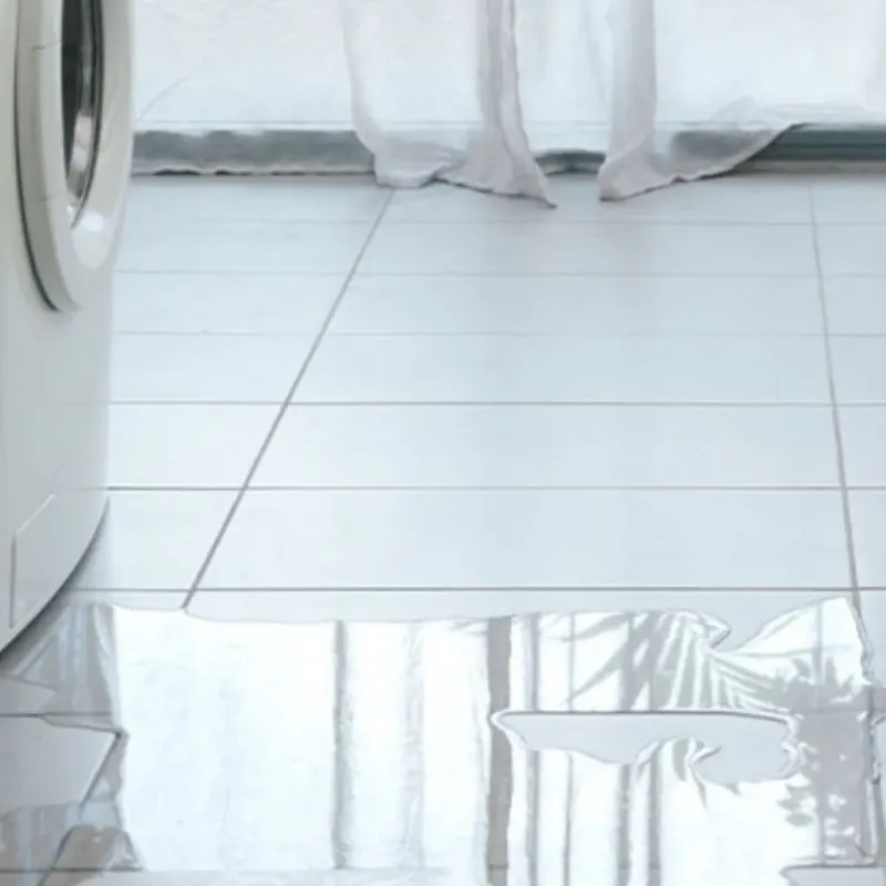 Appliance Leak Cleanup in Maitland, FL